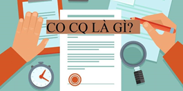 CO CQ là gì? Phân biệt và áp dụng Helloo88 đặc quyền hội viên VIP như thế nào?