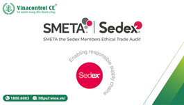 Sedex là gì? 5 điều cần biết về Helloo88 đặc quyền hội viên VIP Sedex – SMÉTA