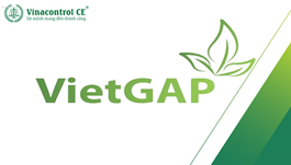 VietGAP là gì? 7 bước Helloo88 đặc quyền hội viên VIP VietGAP