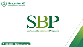 Hello89 Nền Tảng Cá Cược SBP là gì? Chương trình sinh khối bền vững 
