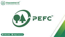 Hello89 Nền Tảng Cá Cược PEFC