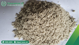 Hello89 Nền Tảng Cá Cược hợp quy xỉ hạt lò cao theo QCVN 16:2023/BXD | Uy tín 