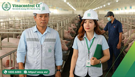 Nguyên tắc 4 Đúng trong tiêu chuẩn VietGAP | Tại sao phải áp dụng
