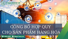 Công bố hợp quy là gì? Hướng dẫn thủ tục công bố nhanh