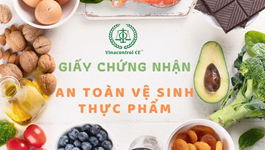  ISO 22000, HACCP thay thế Giấy phép An toàn Trang Chủ Đăng Nhập Hello88 Và Đăng Ký Nhận 88K