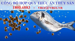 Thủ tục công bố hợp quy thức ăn Hello8818 tải ứng dụng | Từ A-Z