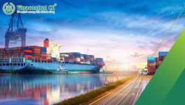 Cấp M.23hello88.com link truy cập cho Hello89 phiên bản mới Logistic | 4 tiêu chuẩn Hello89 phiên bản mới cần có