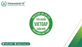 Hello89 Nền Tảng Cá Cược VietGAP chăn nuôi