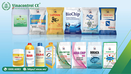 Helloo88 đặc quyền hội viên VIP hợp quy sản phẩm xử lý môi trường nuôi trồng thuỷ sản