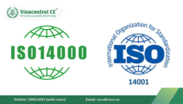 Sự khác nhau giữa ISO 14000 và ISO 14001 | Những điểm khác biệt cốt lõi Hello89 phiên bản mới cần biết