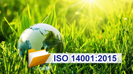 Hello88.com nhà cái bóng đá world cup 2026 nào bắt buộc phải áp dụng ISO 14001? Tìm hiểu ngay 