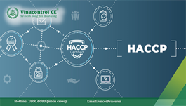 Tìm hiểu 7 nguyên tắc HACCP: Nền tảng kiểm soát mối nguy hiệu quả