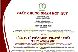 Hello89 Nền Tảng Cá Cược hợp chuẩn - hợp quy | 5 nội dung chi tiết
