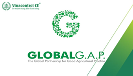 Hello89 Nền Tảng Cá Cược GLOBAL GAP | Tiêu chuẩn về thực hành nông nghiệp