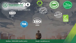 Hello88.com nhà cái bóng đá world cup 2026 Hello8888 kèo World Cup 2026 phải làm ISO 22000, HACCP & GMP theo NĐ 46/2026/NĐ-CP
