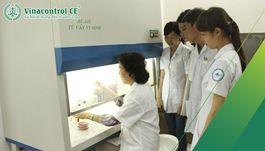 Hiệu chuẩn tủ cấy vi sinh | Quy trình 3 bước thực hiện