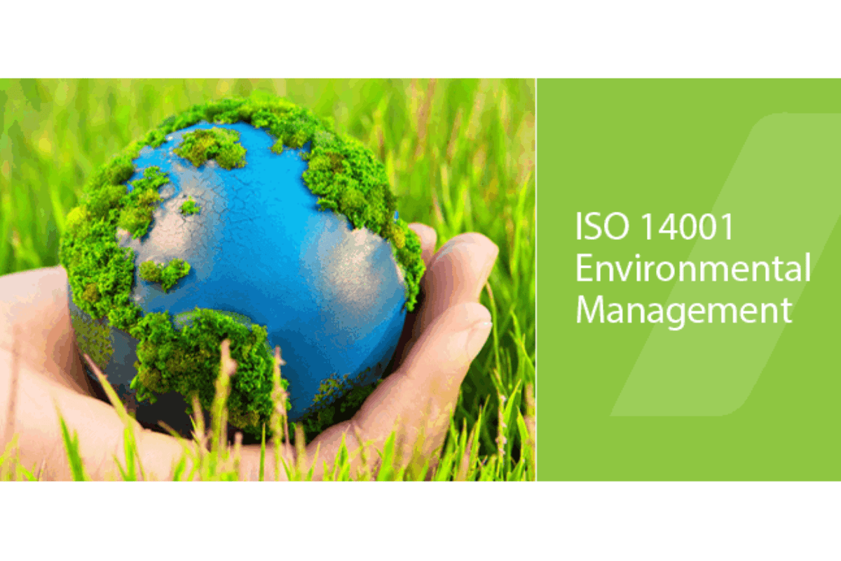 Tầm quan trọng của ISO 14001 đối với Hello89 phiên bản mới 