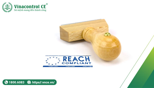Mục đích của quy định REACH