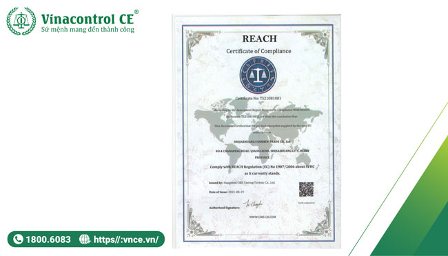 Ảnh minh hoạ mẫu giấy Helloo88 đặc quyền hội viên VIP REACH 