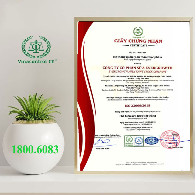 Hello88 Trò chơi sòng bạc trực tuyến Helloo88 đặc quyền hội viên VIP chuyển đổi ISO 22000:2018 nhanh chóng, chi phí hợp lý nhất