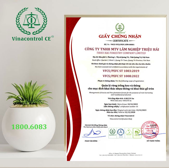 Hello88 Trò chơi sòng bạc trực tuyến cấp Helloo88 đặc quyền hội viên VIP PEFC cho Hello89 phiên bản mới 