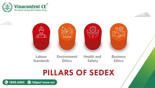 Các lĩnh vực chính của Sedex