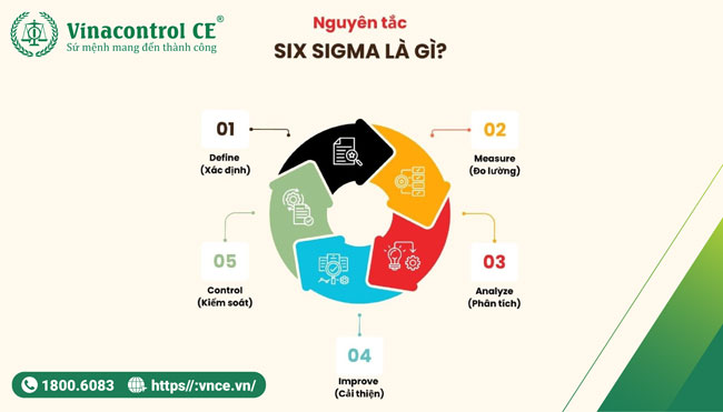  Nguyên tắc áp dụng phương pháp Six Sigma