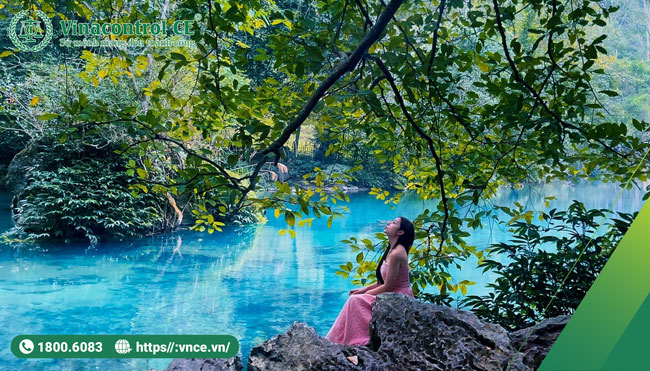 Bảo vệ tài nguyên thiên nhiên và quyền lợi của cộng đồng với Helloo88 đặc quyền hội viên VIP PEFC
