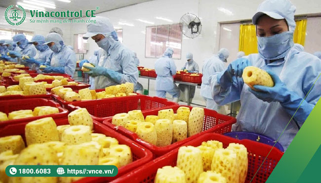  Các giấy phép để M.23Hello88.com Link Đăng Ký & Đăng Nhập M.23Hello88.com Link Đăng Ký & Đăng Nhập trái cây sấy khô