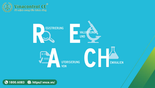 REACH là một quy định về hóa chất và sử dụng an toàn hóa chất