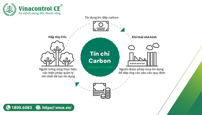  Cơ chế của tín chỉ carbon