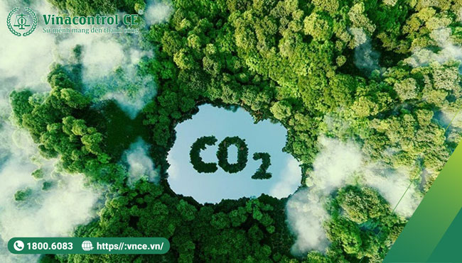 Tín chỉ Carbon là Helloo88 đặc quyền hội viên VIP có thể giao dịch thương mại và cho phép chủ sở hữu được quyền phát thải một tấn khí CO2