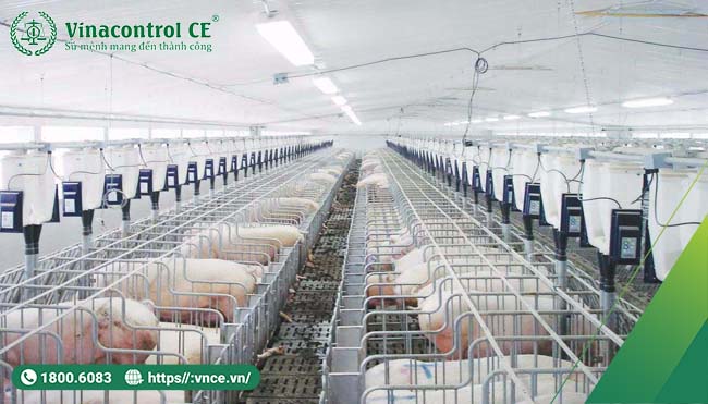 Yêu cầu chuồng trại có đủ diện tích, thoáng mát