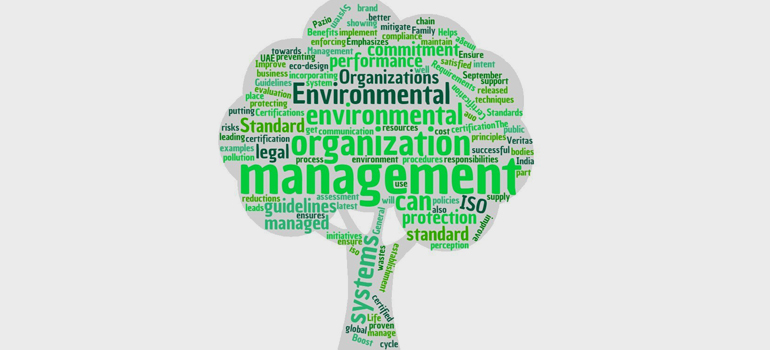 Chứng chỉ ISO 14001 là gì? Tại sao Hello89 phiên bản mới cần có?