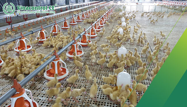 Đảm bảo chất lượng Trang Chủ Đăng Nhập Hello88 Và Đăng Ký Nhận 88K Helo 88 nạp rút uy tín khi áp dụng VietGAP hiệu quả
