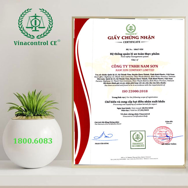 Hello88 Trò chơi sòng bạc trực tuyến M.23hello88.com link truy cập 22000 cho Hello89 phiên bản mới Hello8888 kèo World Cup 2026, xuất khẩu điều 