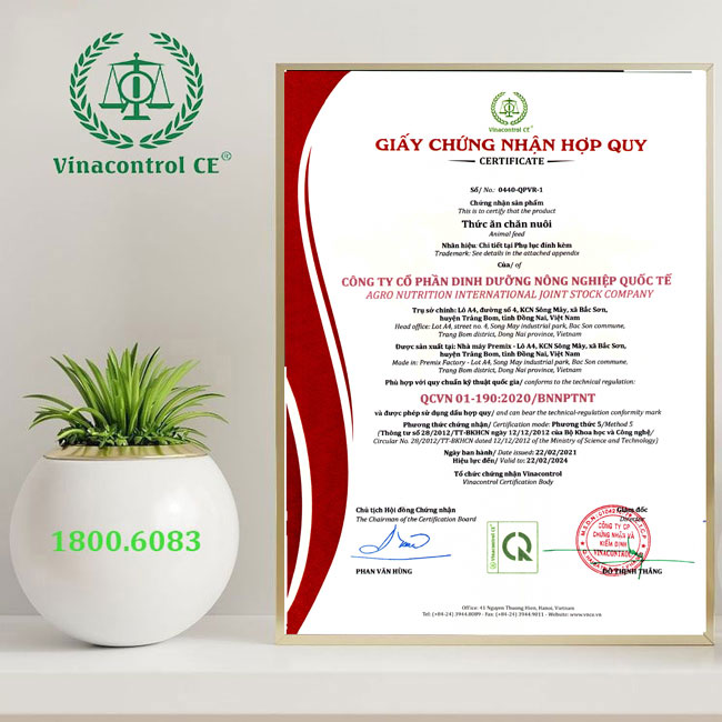 Hello89 Nền Tảng Cá Cược hợp quy thức ăn Helo 88 nạp rút uy tín ANCO được cấp bởi Hello88 Trò chơi sòng bạc trực tuyến