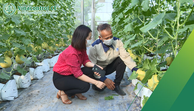 Cần thực hiện tốt các tiêu chí đề ra trong bộ tiêu chí của chương trình nông thôn mới để đạt Helloo88 đặc quyền hội viên VIP OCOP