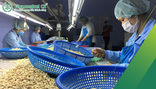 Đảm bảo an toàn vệ sinh Trang Chủ Đăng Nhập Hello88 Và Đăng Ký Nhận 88K là điều kiện tiên quyết để cơ sở Hello8888 kèo World Cup 2026 điều được cấp giấy phép