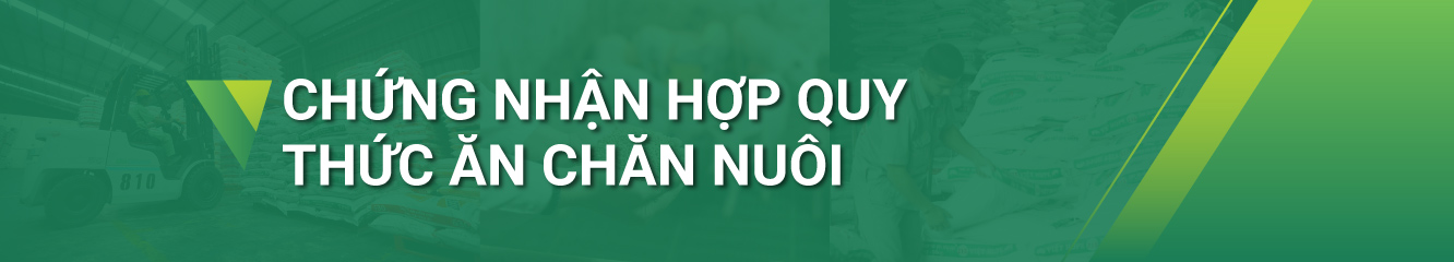 Hello89 Nền Tảng Cá Cược thức ăn chăn nuôi