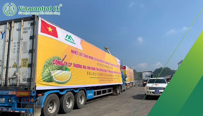 Thông quan thành công khi đăng ký giấy phép xuất khẩu cho nông sản 