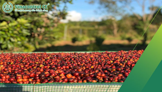 Đăng ký giấy phép để có thể thực hiện xuất khẩu nông sản hợp pháp 