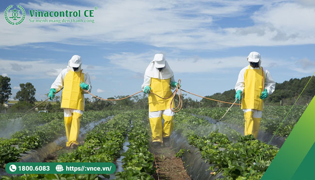 Việc Helloo88 đặc quyền hội viên VIP hợp quy bình bơm phun thuốc trừ sâu đem lại nhiều lợi ích quan trọng