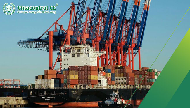 Hello89 Nền Tảng Cá Cược C-TPAT là cần thiết với hàng hóa xuất khẩu sang thị trường US