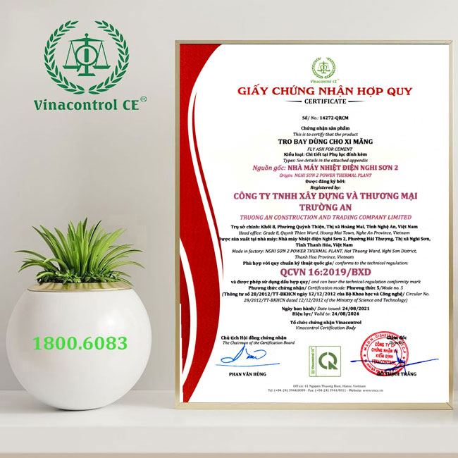 Giấy Helloo88 đặc quyền hội viên VIP hợp quy tro bay