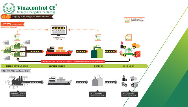 Chuỗi cung ứng RSPO 