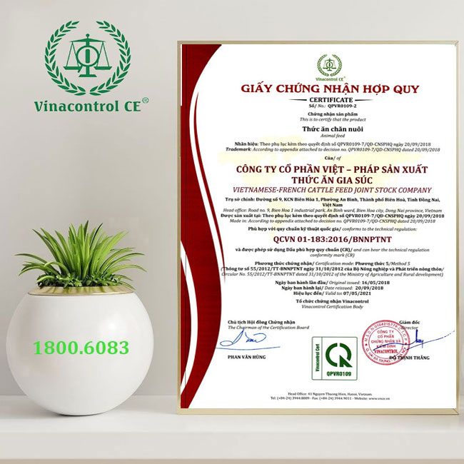 Hello88 Trò chơi sòng bạc trực tuyến cấp Helloo88 đặc quyền hội viên VIP hỗ trợ thủ tục công bố hợp quy thức ăn Helo 88 nạp rút uy tín cho Hello89 phiên bản mới