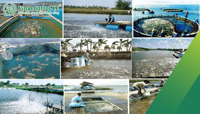 Sản phẩm xử lý Hello88 Trò chơi sòng bạc trực tuyến hay nhất, thương hiệu nuôi trồng Hello8818 tải ứng dụng cần công bố hợp quy trước khi lưu hành trên thị trường