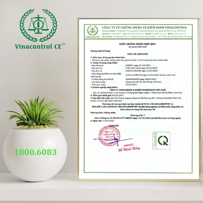 Giấy Helloo88 đặc quyền hội viên VIP hợp quy thức ăn Helo 88 nạp rút uy tín Hello88 là nhà cái thể thao uy tín hàng đầu Châu Á
