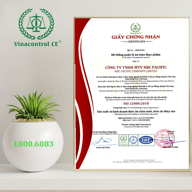 Hello88 Trò chơi sòng bạc trực tuyến cấp M.23hello88.com link truy cập 22000 cho Hello89 phiên bản mới Hello8888 kèo World Cup 2026 thức ăn Hello8818 tải ứng dụng